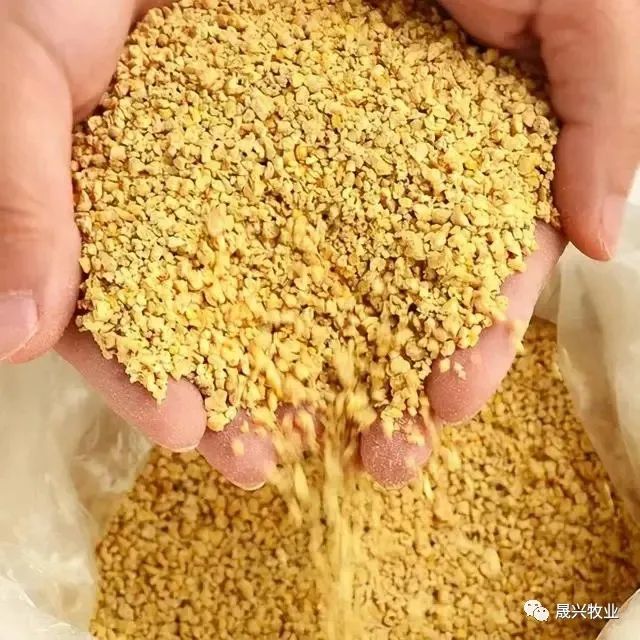 µ°¼¦ÑøÖ³É豸 µ°¼¦ÑøÖ³É豸