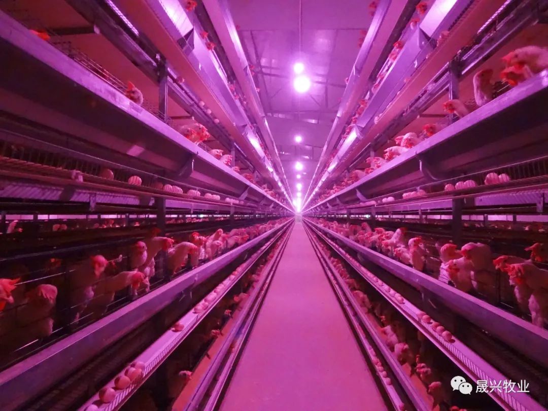 ���ܻ������豸