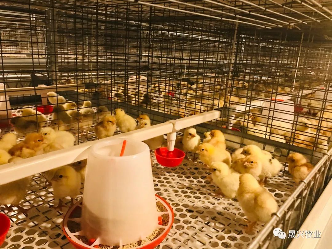 ���ܻ������豸