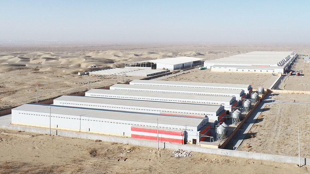 add9104504b85508cd55e85750c32567