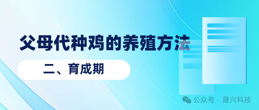 养鸡设备